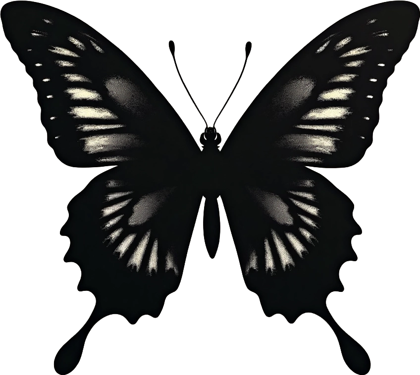 Monochrome Butterfly